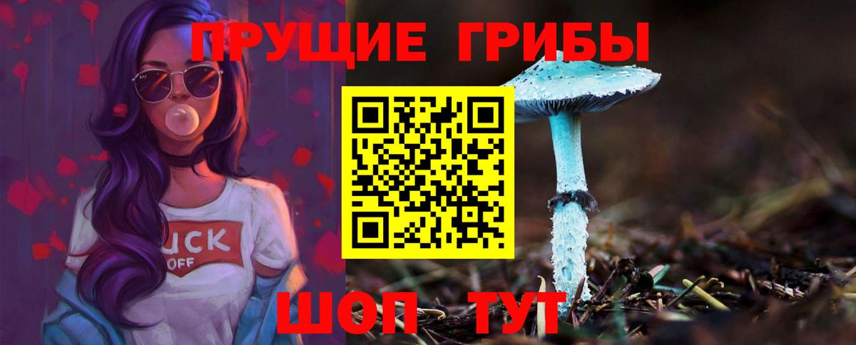 Псилоцибиновые грибы MAGIC MUSHROOMS Владикавказ